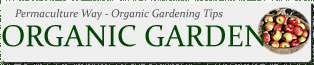 Organic Garden - Organic Gardening - Permaculture Canada