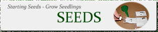 Canada Seeds - Improving germination tips - Start seeds indoor